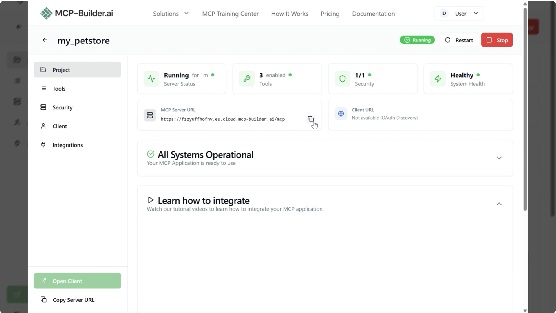 MCP Server URL Display